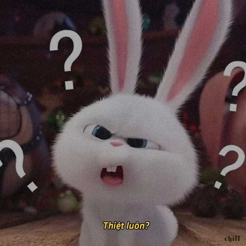 Thỏ ngạc nhiên: Thiệt luôn?
